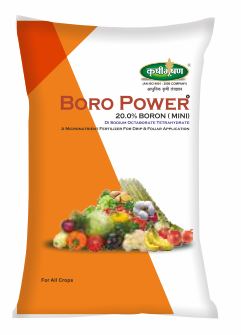 Boro Power